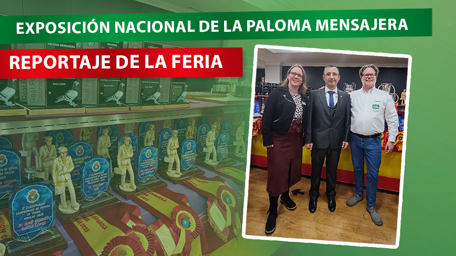 Röhnfried es patrocinador oficial de la RFCE y refuerza el deporte colombófilo español