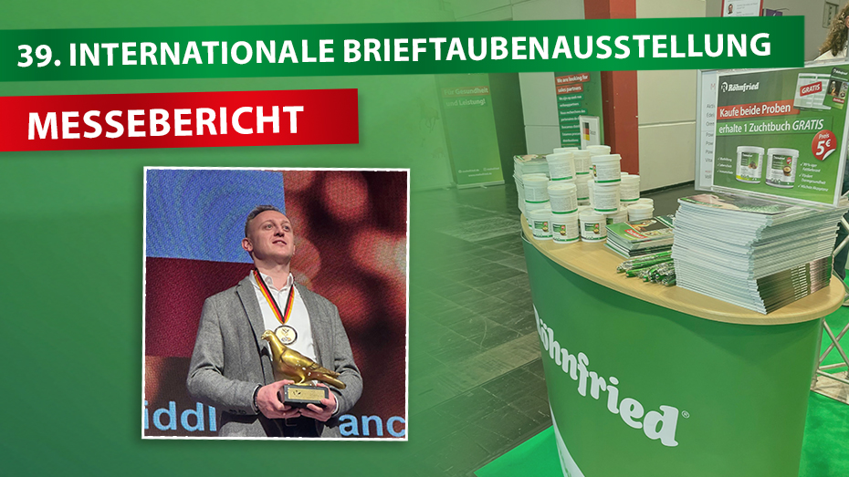 Goldmedaille für Dariusz Bonczek bei der 39. Internationalen Brieftaubenausstellung