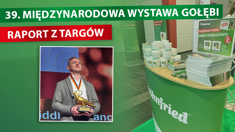 Złoty medal dla Dariusza Bonczeka na 39. Międzynarodowej Wystawie Gołębi Pocztowych
