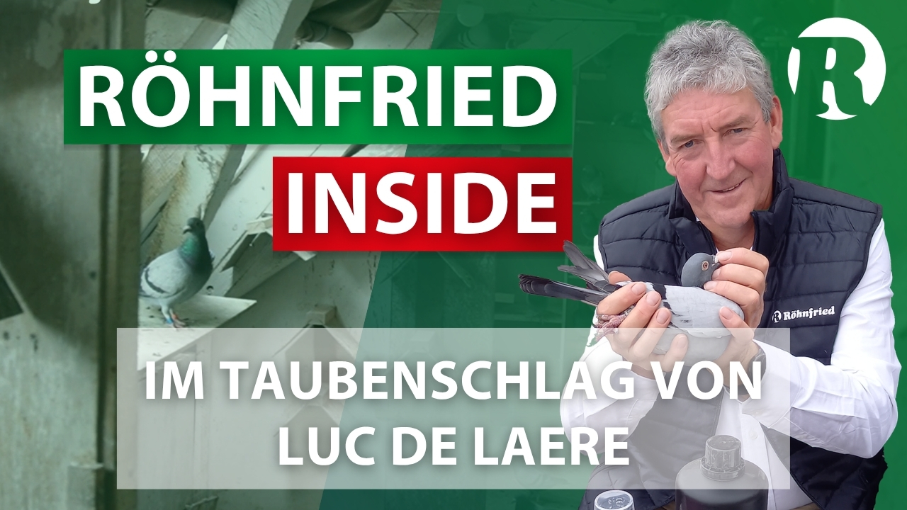 Röhnfried Inside: Zu Besuch bei Luc de Laere in Belgien