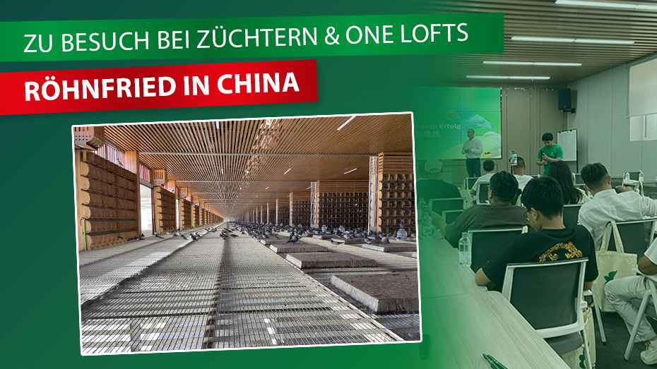 Röhnfried in China: Zwischen Fachvorträgen, Züchtergesprächen und One Loft Racing