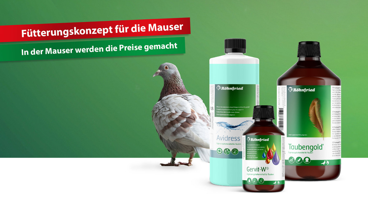 Fütterungskonzept für die Mauser