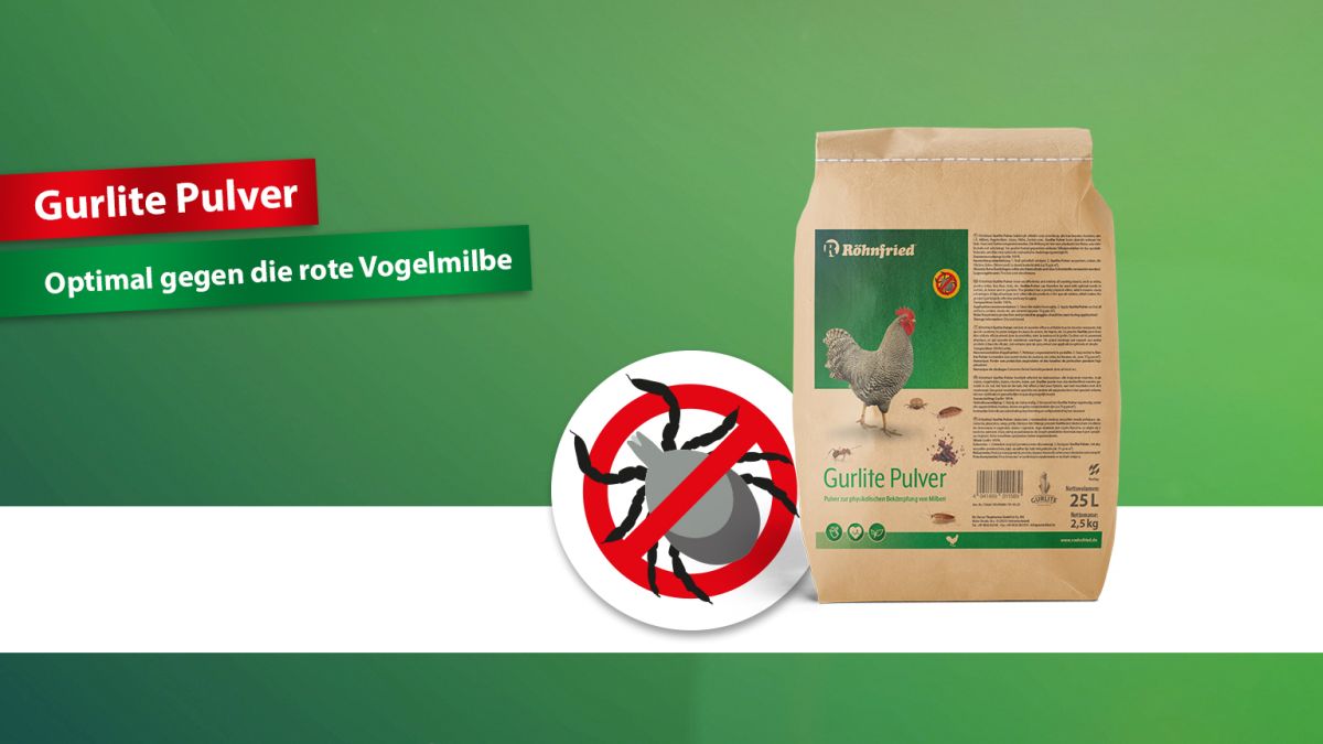 Gurlite Pulver optimal gegen die rote Vogelmilbe
