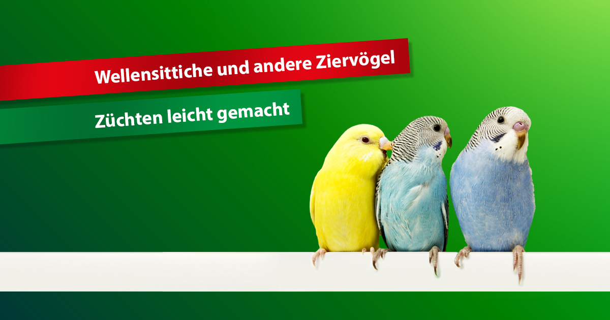 Wellensittiche und andere Ziervögel züchten leicht gemacht