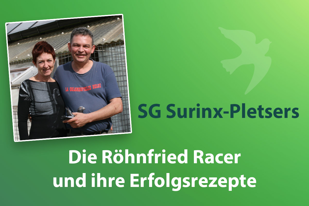 Surinx-Pletsers: Die Allrounder