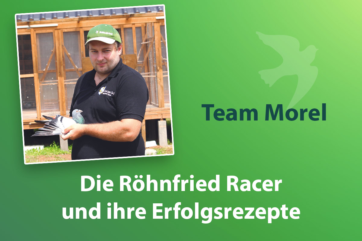 SG Morel: Der Weg zum Erfolg – konsequentes Verhalten und bewährte Methoden