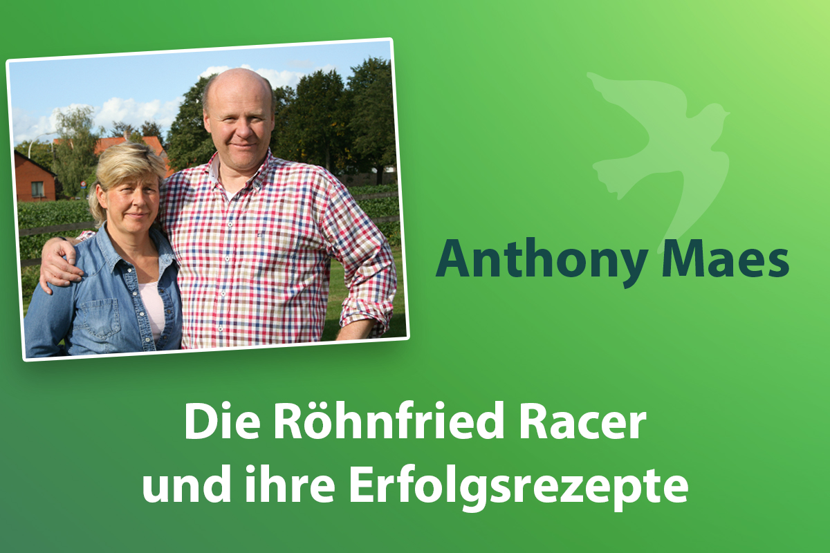 Anthony Maes: Gut ist einfach gut