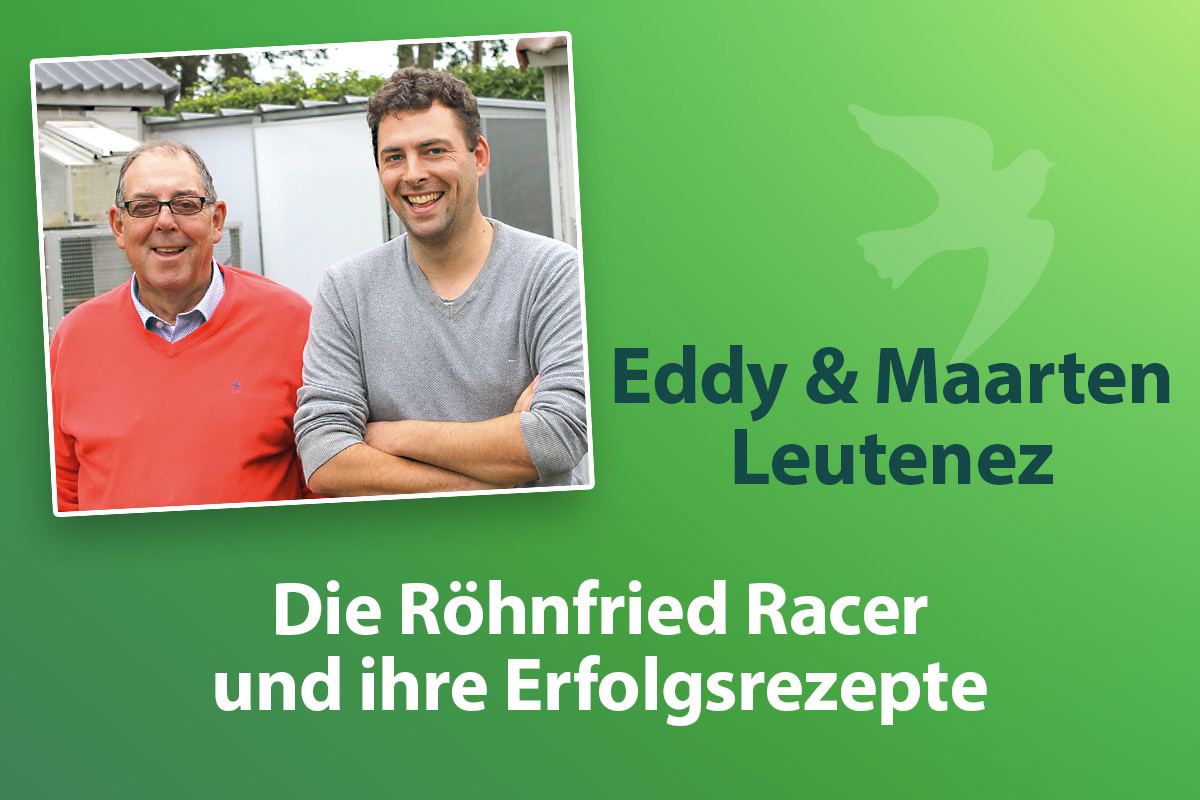 Eddy & Maarten Leutenez: Mit Abo auf nationale As-Tauben