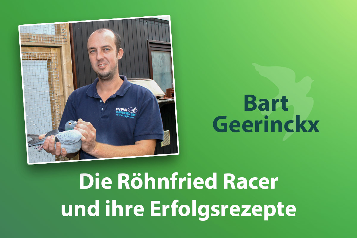 Bart Geerinckx: Selbst Superstars raufen sich manchmal die Haare
