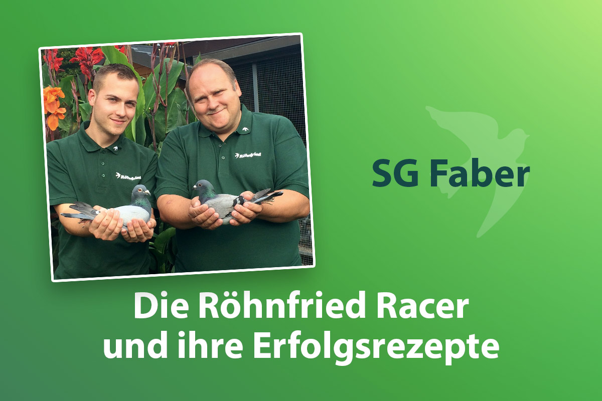 SG Faber: Die Reisesaison 2020