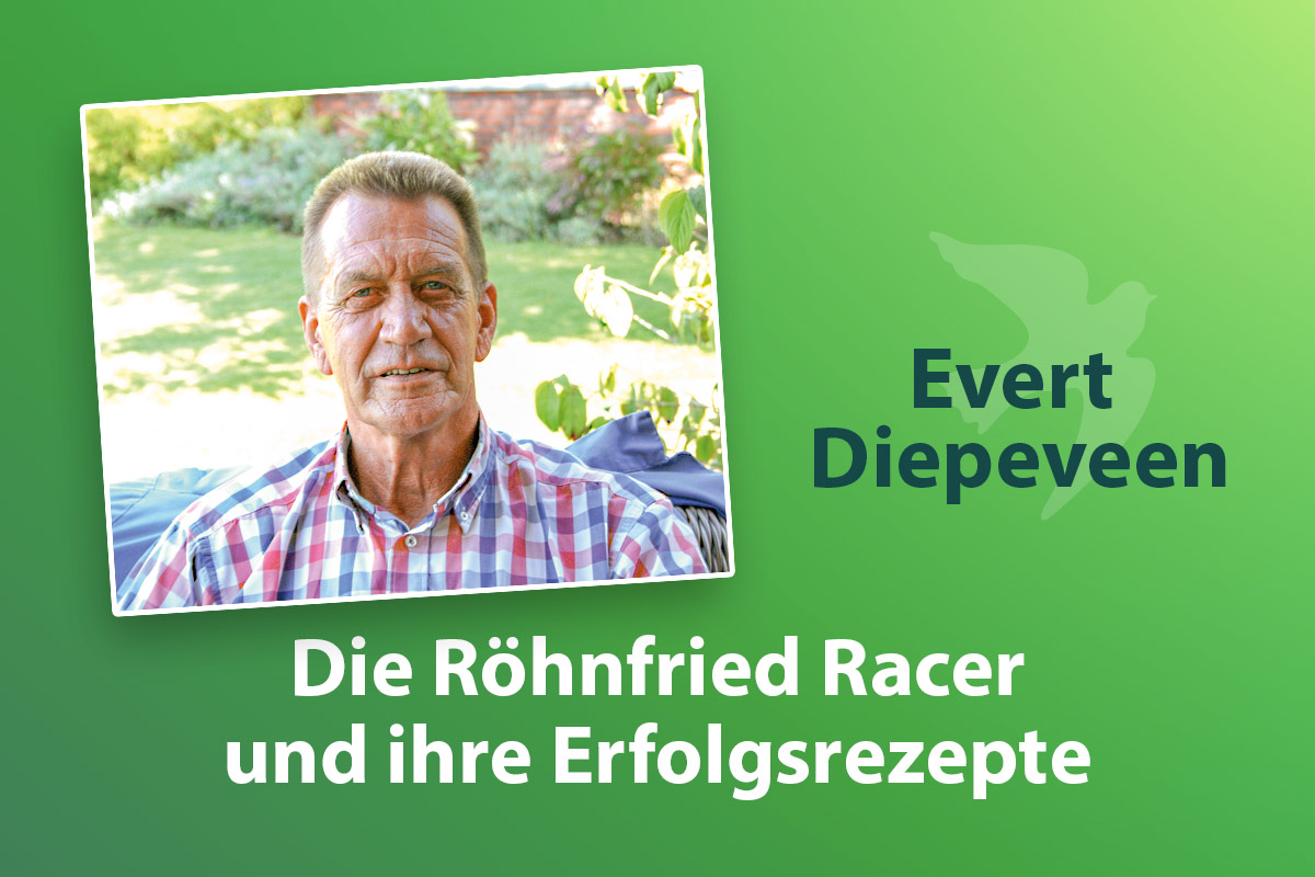 Evert Diepeveen: Spieler und Züchter