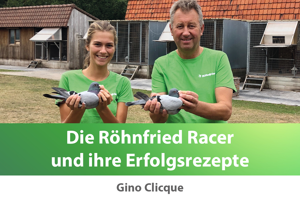 Gino Clicque: Ehrgeiz wird belohnt