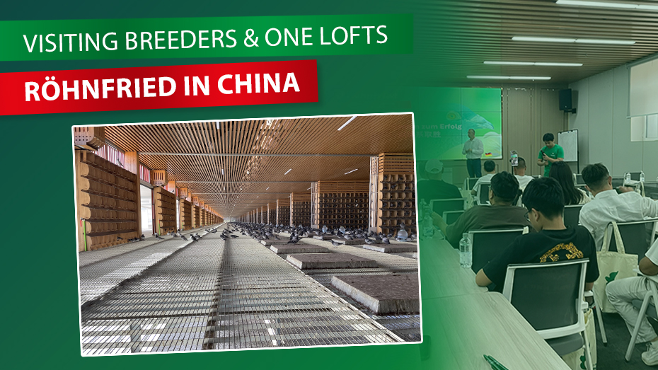 Röhnfried in China: Between Expert Lectures, Breeder Talks, and One Loft Racing
