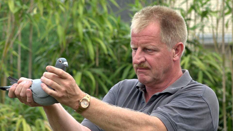 Klaus Steinbrink – der weiße Hai aus Wallenhorst