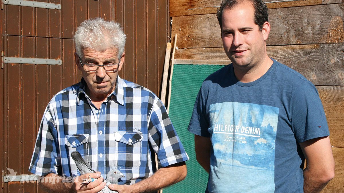 SG Hendriks – 2. nationale As-Taube schwere Mittelstrecke 2016