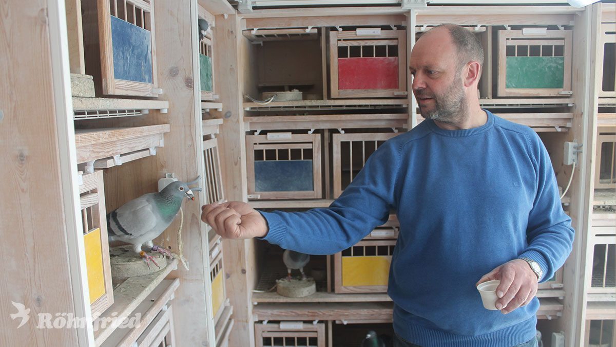 SG Neeb – große Erfolge mit kleinem Korb