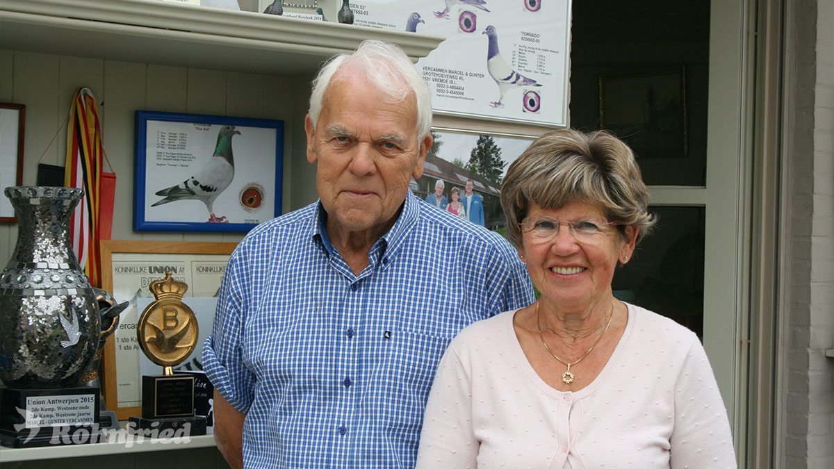 Marcel Vercammen – Jahr für Jahr Spitze mit wenigen Tauben