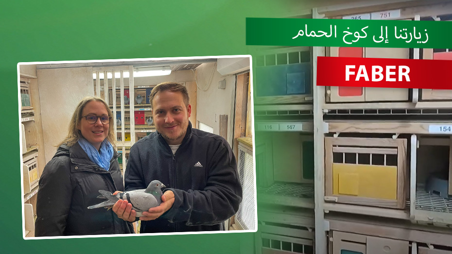 بالقرب من المربي: زيارتنا إلى SG Faber في هامبورغ