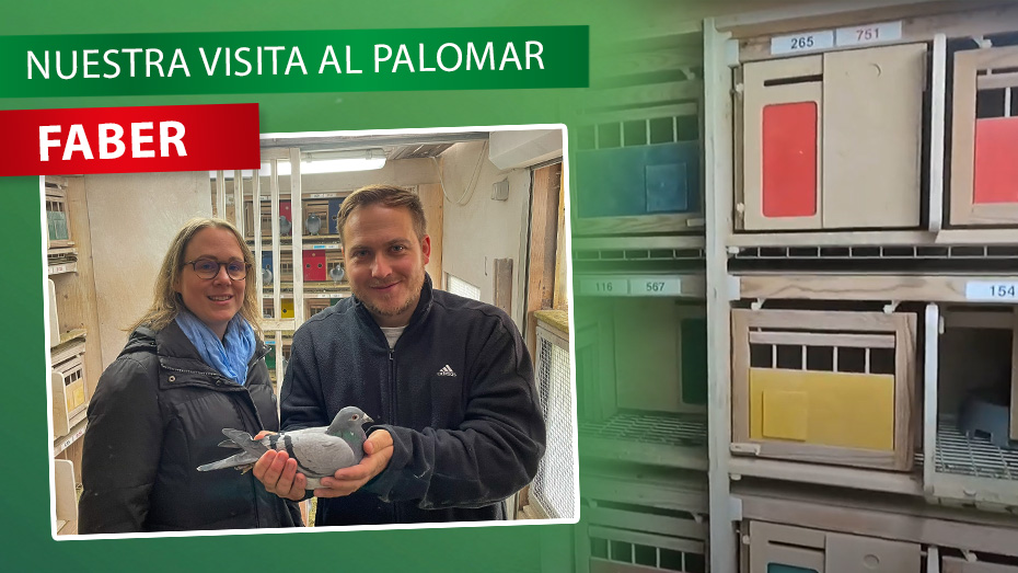 De cerca al criador: nuestra visita a SG Faber en Hamburgo