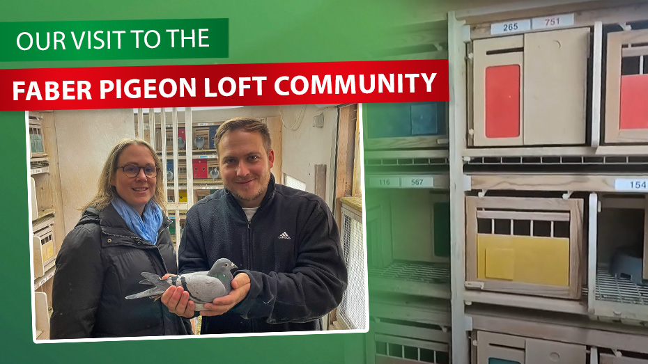 Close to the breeder: Our visit to SG Faber in Hamburg