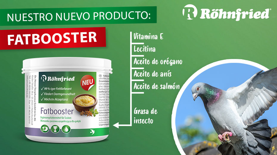 Fatbooster: El suplemento de grasa saludable para palomas de competición
