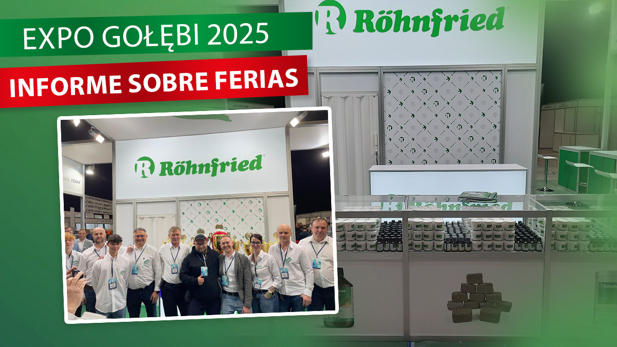 Informe de la feria: Röhnfried en la Expo Gołębi 2025 en Katowice